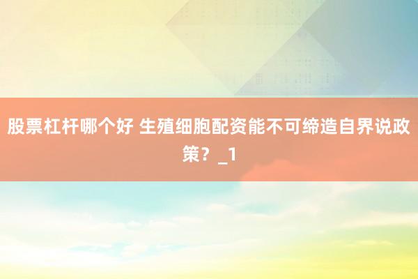 股票杠杆哪个好 生殖细胞配资能不可缔造自界说政策？_1