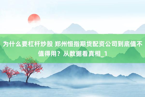 为什么要杠杆炒股 郑州恒指期货配资公司到底值不值得用？从数据看真相_1
